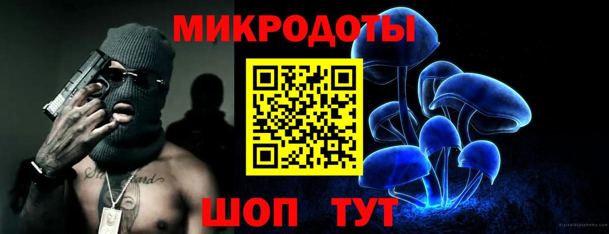 Галлюциногенные грибы Psilocybe Назарово